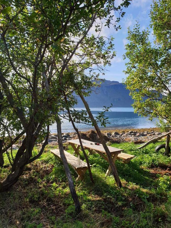 Olderdalen Ski Camp Luaran gambar