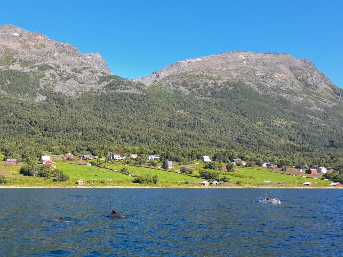 Olderdalen Ski Camp Luaran gambar
