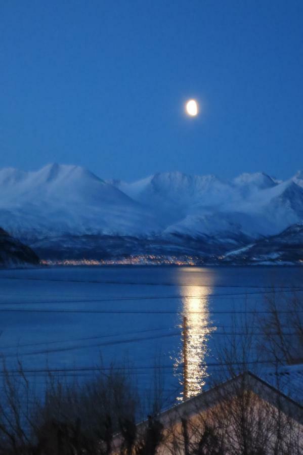 Olderdalen Ski Camp Luaran gambar