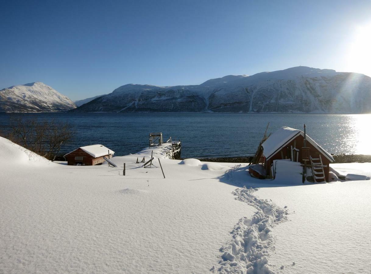 Olderdalen Ski Camp Luaran gambar